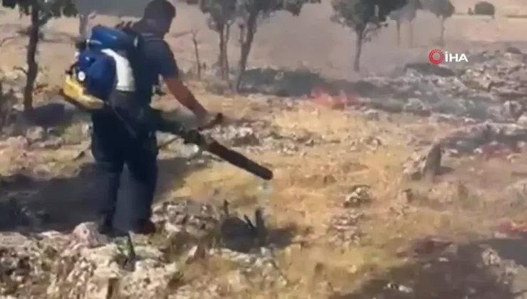 Mardin’de ormanlık alanda çıkan yangın söndürüldü