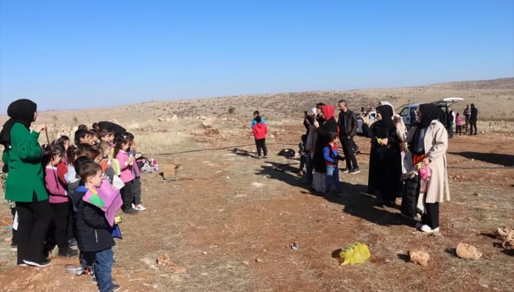 Mardin’de ‘Fidan Kardeşim’ Projesi ile 100 Fidan Toprakla Buluştu